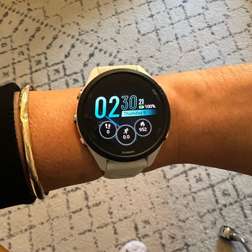 Garmin 265s